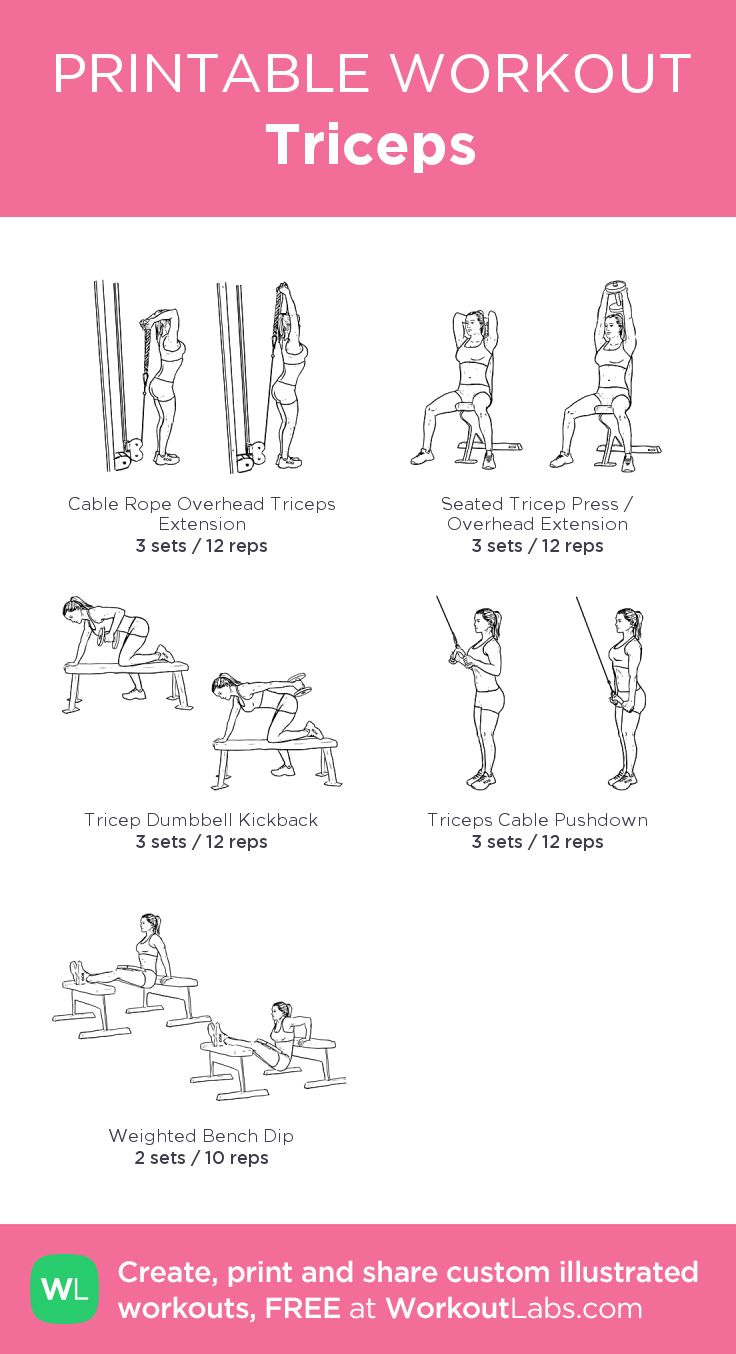 Fitness Motivation : Triceps – my custom workout created at WorkoutLabs ...