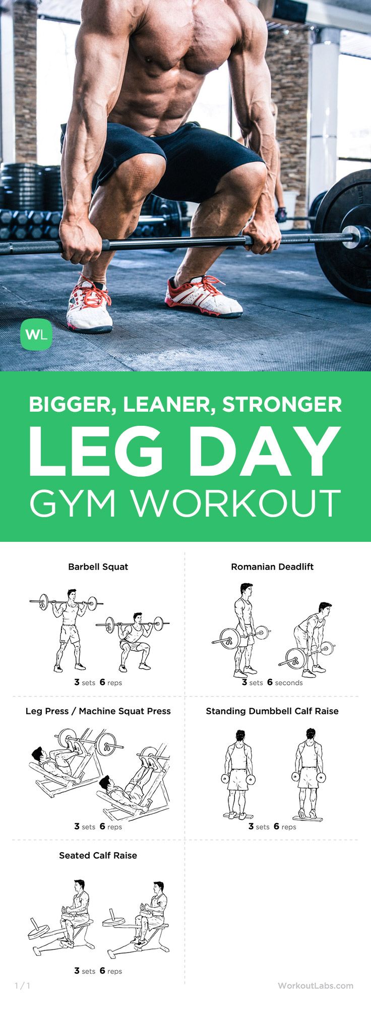 bigger leaner stronger pdf free