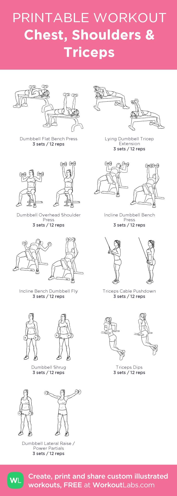 Fitness Motivation : Chest, Shoulders Triceps: my visual workout ...