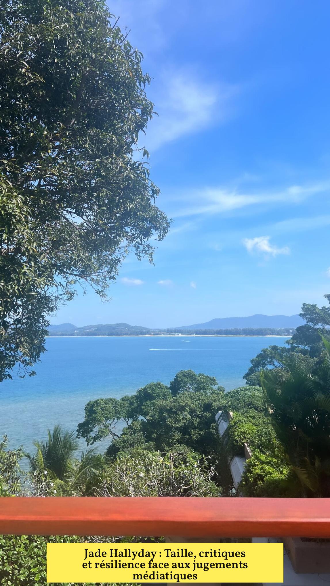 Jade Hallyday : Taille, critiques et résilience face aux jugements médiatiques
